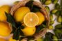 Zesty Lemon Vibe: Unveiling the Alkaline Elixir For A Radiant You